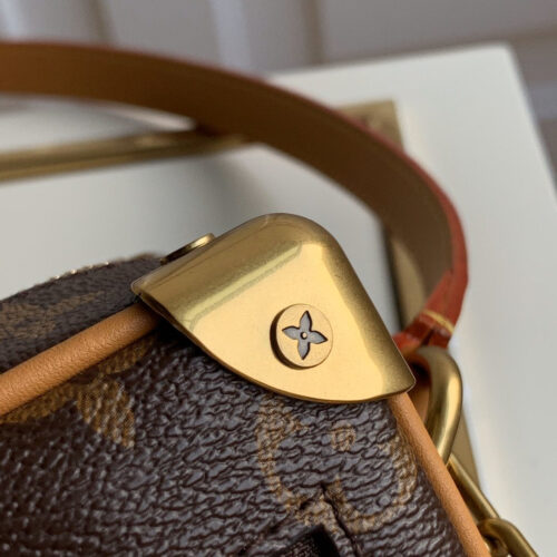High Quality Luxury LV Mini Soft Trunk Brown product detail