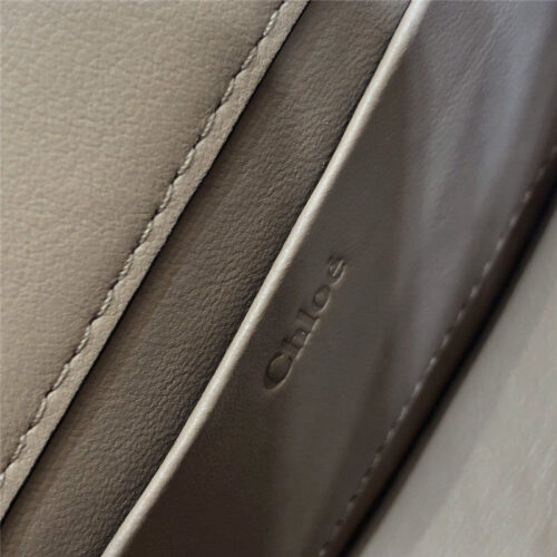 High Quality Luxury Chloe Nile Minaudiere Biscotti Beige Bag – Style 30276 product detail