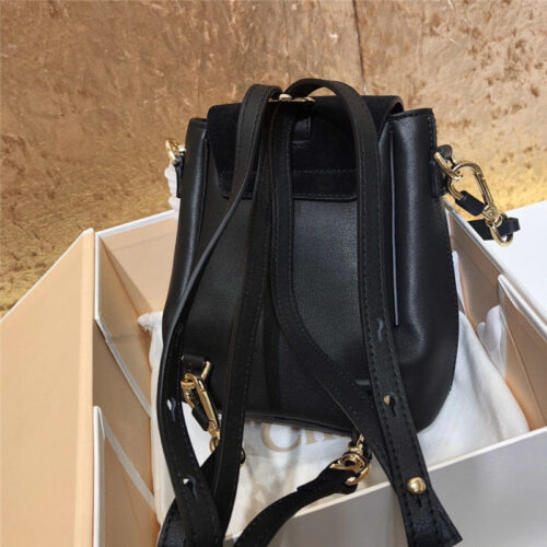 High Quality Luxury Chloe Faye Backpack alternate view