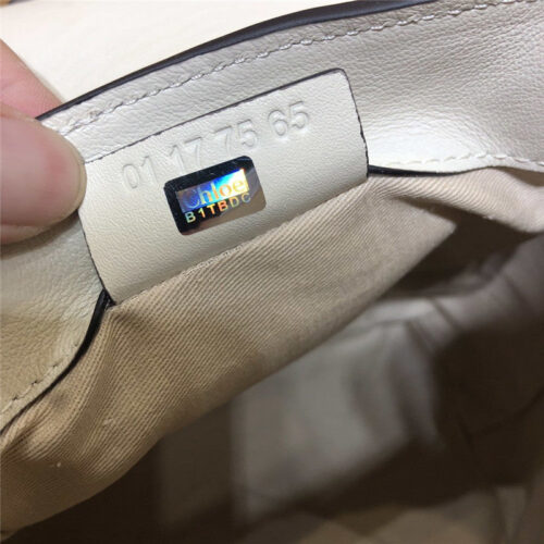 High Quality Luxury Chloe Faye Backpack Mini – Style 30253 product detail