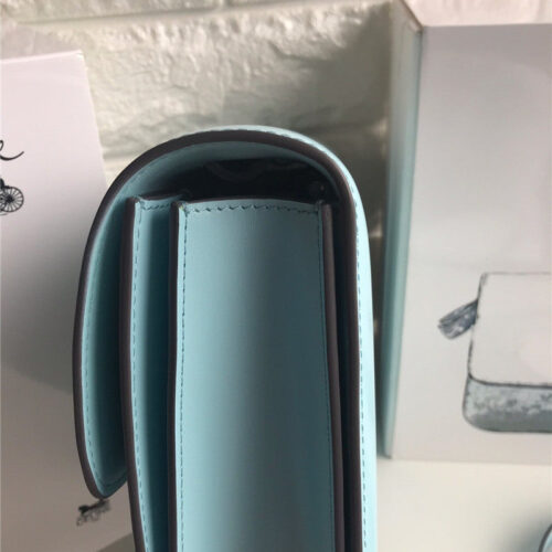 High Quality Luxury Celine Classic Box Shoulder Bag product detail