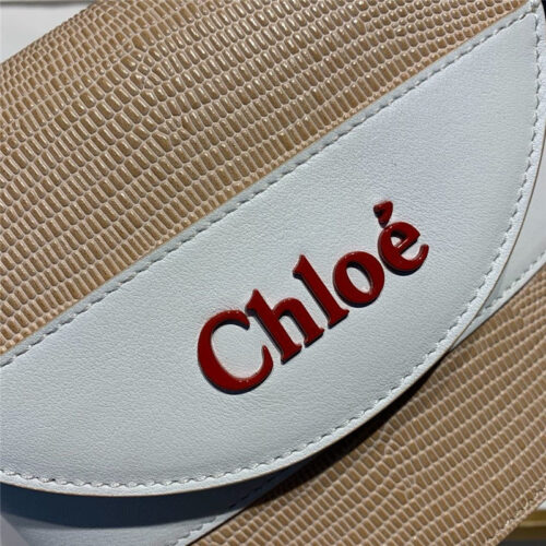 High Quality Luxury Chloe Aby Mini Leather Shoulder Bag – Style 30228 product detail