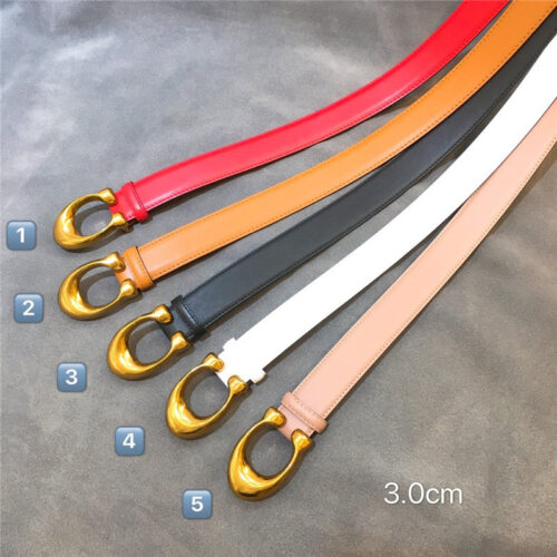 High Quality Luxury Gancio Belt product detail