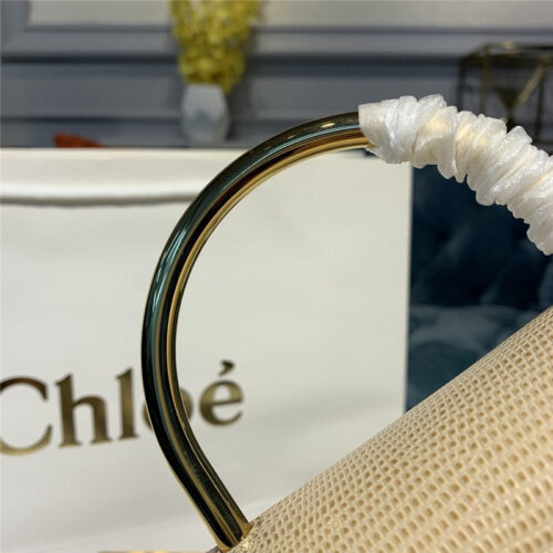 High Quality Luxury Chloe Aby Mini Leather Shoulder Bag – Style 30230 product detail