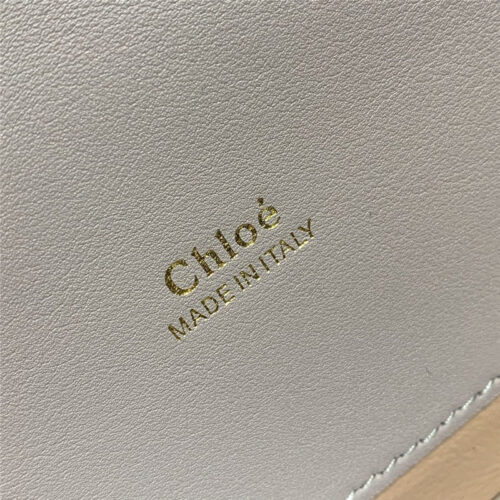 High Quality Luxury Chloe Aby Leather Shoulder Bag – Style 30221 product detail