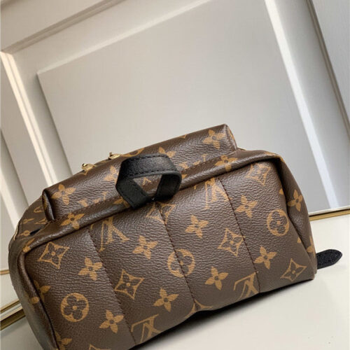 High Quality Luxury LV Monogram Backpack Mini Bags product detail
