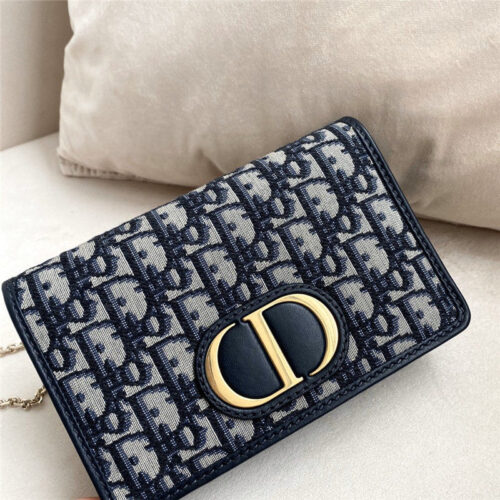 High Quality Luxury Dior Montaigne Beltbags alternate view