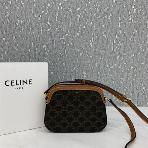 High Quality Luxury Celine Small Camera Bag In Triomphe Canvas Bags – Style 24909