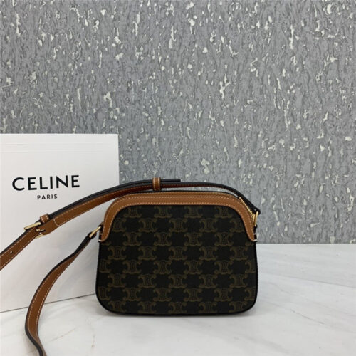 High Quality Luxury Celine Small Camera Bag In Triomphe Canvas Bags – Style 24909 product detail