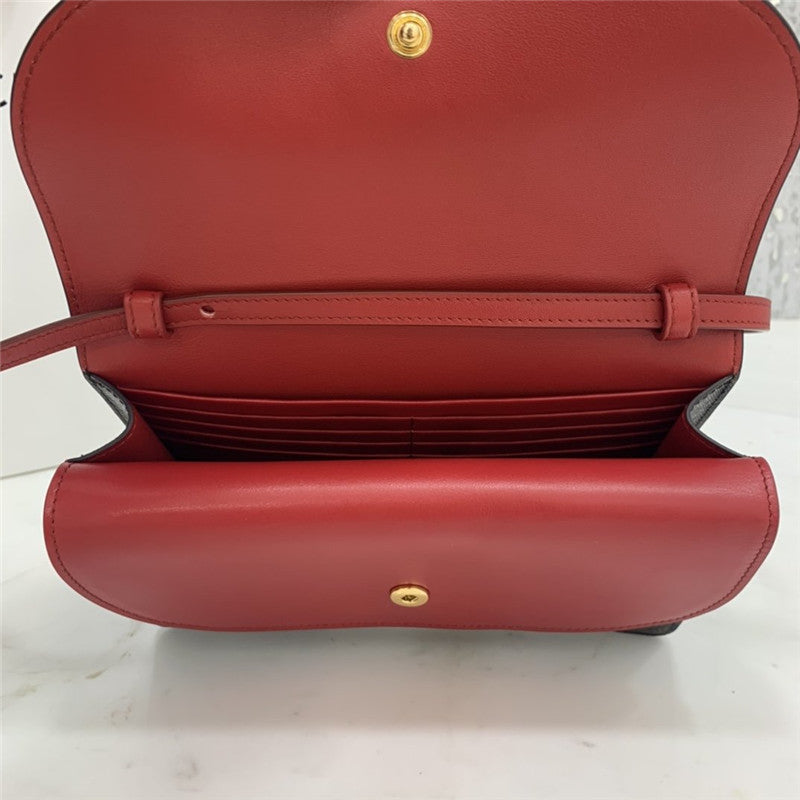 High Quality Luxury Celine Triomphe Canvas Handbag – Style 24975 product detail