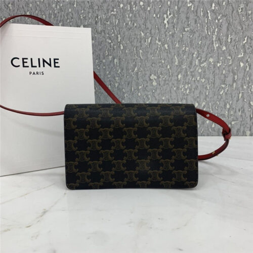 High Quality Luxury Celine Triomphe Canvas Handbag – Style 24975 alternate view