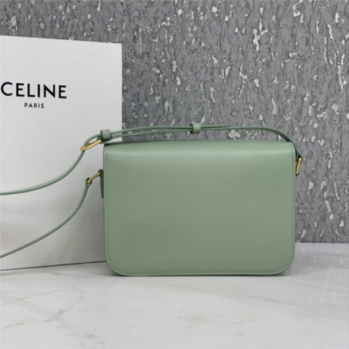 High Quality Luxury Celine Triomphe Bag – Style 24931 alternate view