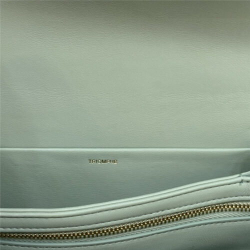 High Quality Luxury Celine Triomphe Bag – Style 24931 product detail