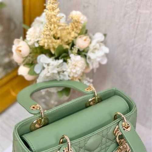High Quality Luxury Lady Dior Letter Bag product detail