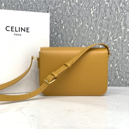 High Quality Luxury Celine Triomphe Bag – Style 24933 alternate view