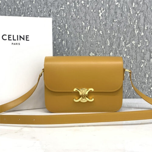 High Quality Luxury Celine Triomphe Bag – Style 24933