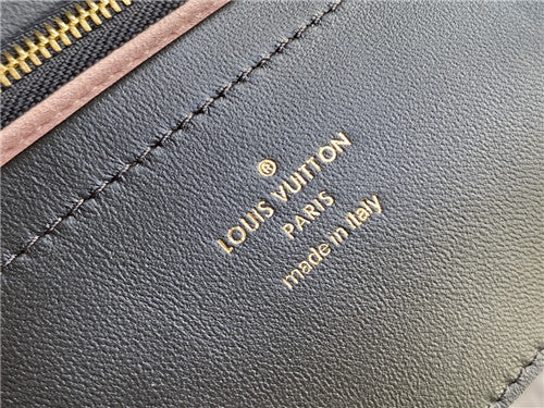 High Quality Luxury LV Pochette Coussin Leather Goods product detail