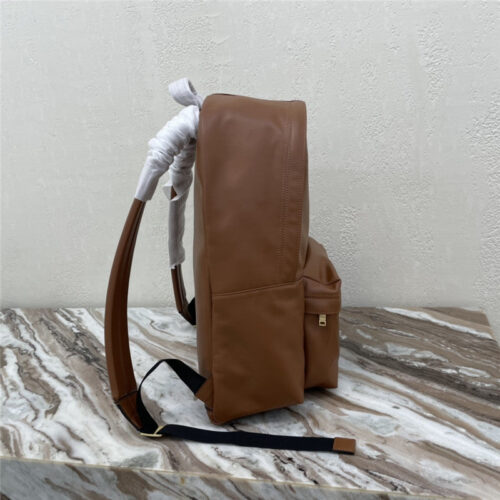 High Quality Luxury Celine Triomphe Medium Backpack – Style 25008 product detail