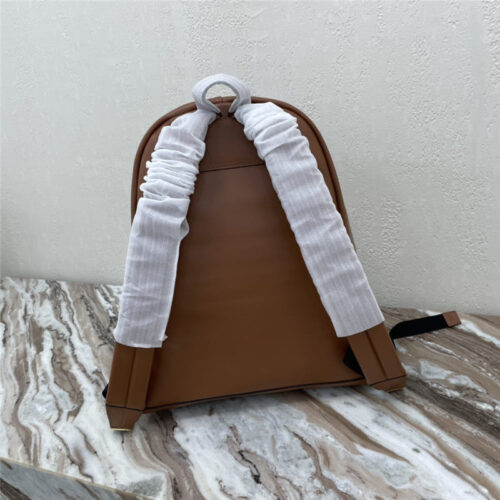 High Quality Luxury Celine Triomphe Medium Backpack – Style 25008 product detail