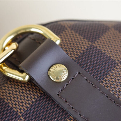 High Quality Luxury Louis Vuitton Speedy 25 Monogram Bag product detail