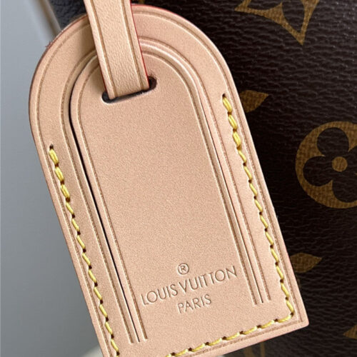 High Quality Luxury Louis Vuitton Delightful Small Bag product detail