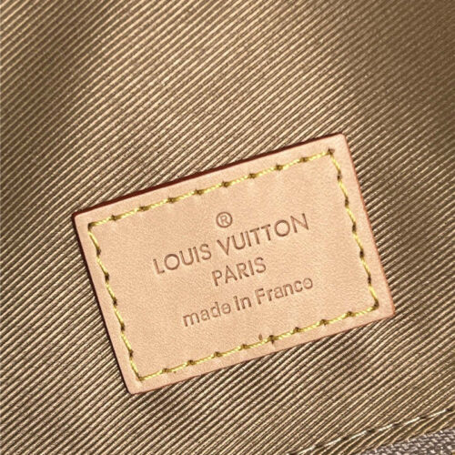 High Quality Luxury Louis Vuitton Delightful Small Bag product detail