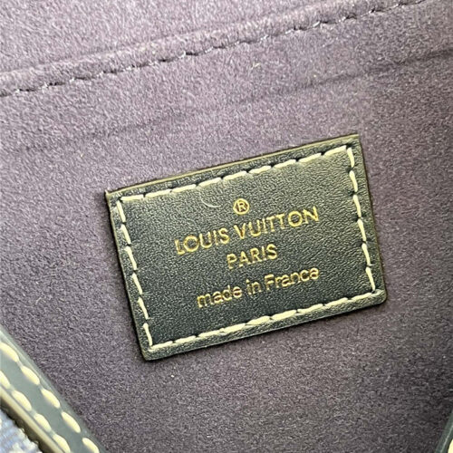 High Quality Luxury Louis Vuitton Dauphine Medium Bag product detail