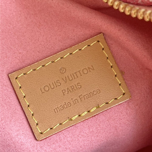 High Quality Luxury Louis Vuitton Loop Bag product detail