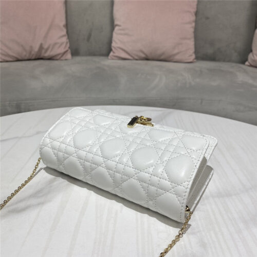 High Quality Luxury Lady Dior Clutch product detail