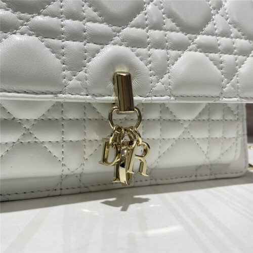 High Quality Luxury Lady Dior Clutch product detail