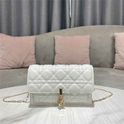 High Quality Luxury Lady Dior Clutch