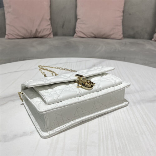 High Quality Luxury Lady Dior Clutch product detail
