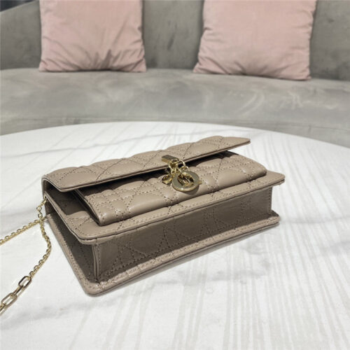 High Quality Luxury Lady Dior Clutch – Style 26348 product detail