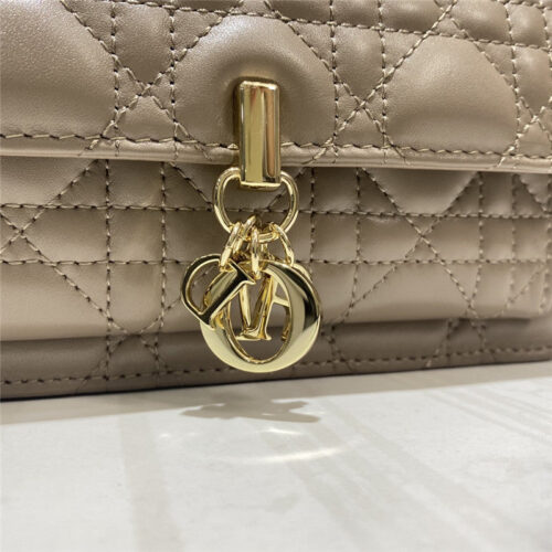 High Quality Luxury Lady Dior Clutch – Style 26348 product detail