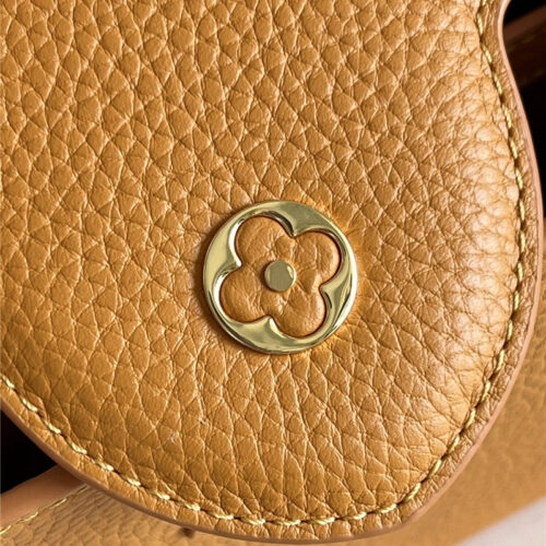 High Quality Luxury Louis Vuitton Capucines Small Bag Black product detail
