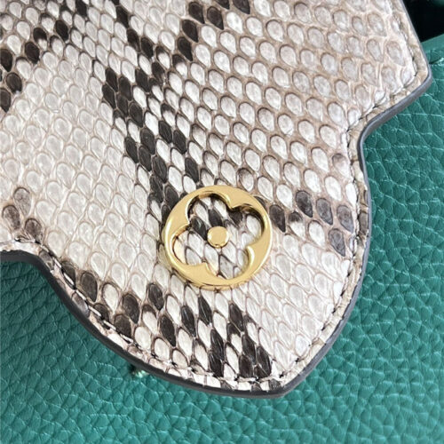 High Quality Luxury Louis Vuitton Capucines Mini Bag Green product detail