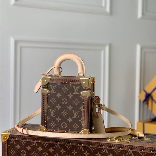High Quality Luxury Louis Vuitton Camera Box Bag alternate view