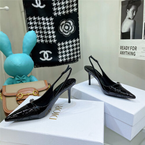 High Quality Luxury Dior Embroidered High Heels product detail
