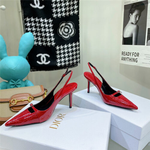 High Quality Luxury Dior Embroidered High Heels – Style 66822 product detail