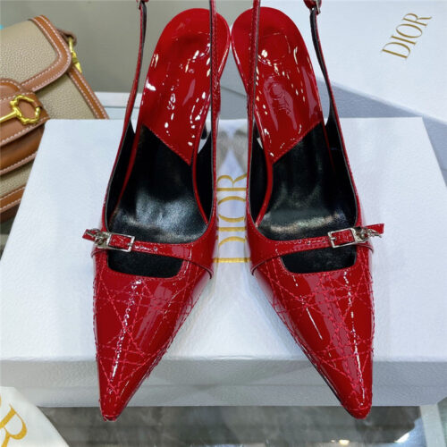 High Quality Luxury Dior Embroidered High Heels – Style 66822 product detail
