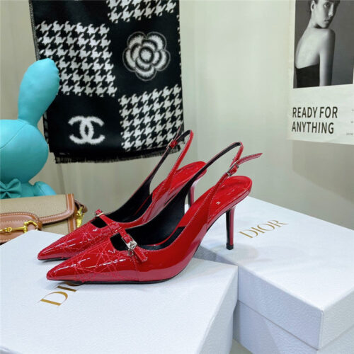High Quality Luxury Dior Embroidered High Heels – Style 66822 product detail