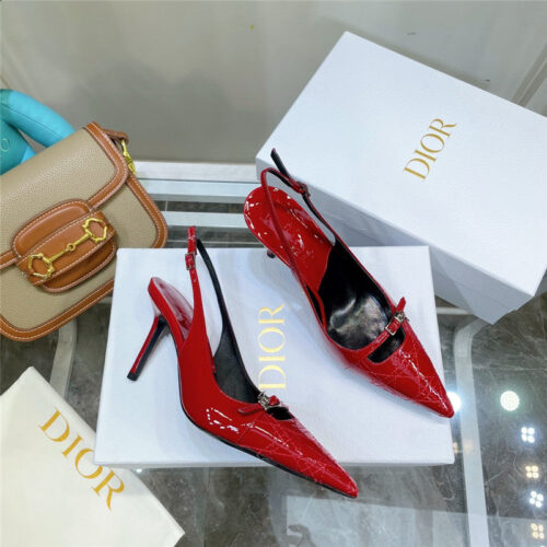 High Quality Luxury Dior Embroidered High Heels – Style 66822 product detail