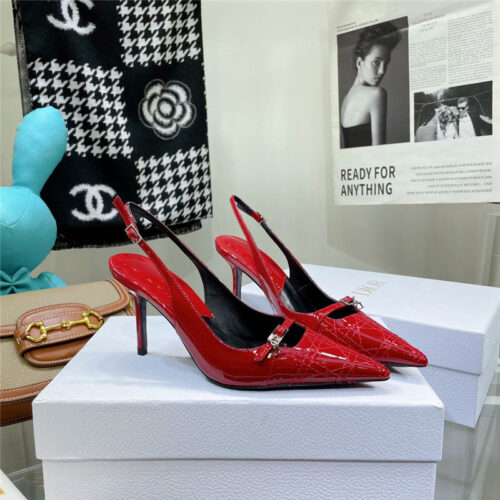 High Quality Luxury Dior Embroidered High Heels – Style 66822