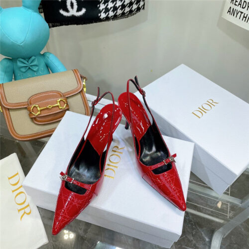 High Quality Luxury Dior Embroidered High Heels – Style 66822 product detail