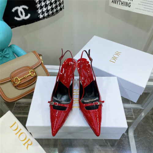 High Quality Luxury Dior Embroidered High Heels – Style 66822 product detail