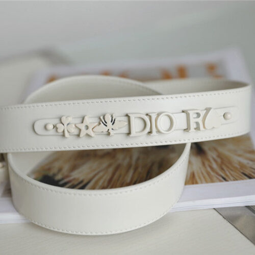 High Quality Luxury Lady Dior My Abcdior Bag – Style 26446 product detail