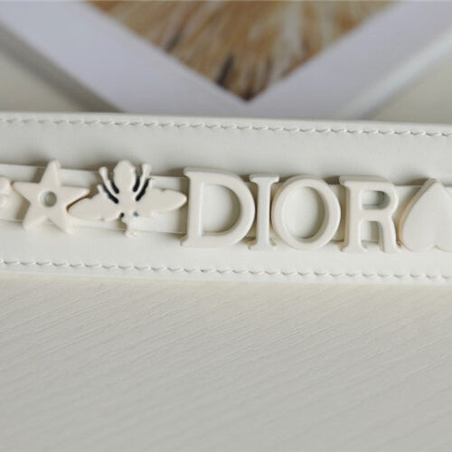 High Quality Luxury Lady Dior My Abcdior Bag – Style 26446 product detail