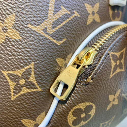 High Quality Luxury Louis Vuitton Ellipse BB Monogram Canvas Bag product detail
