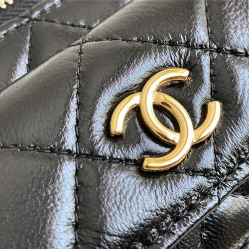High Quality Luxury Chanel Cosmetic Bag product detail
