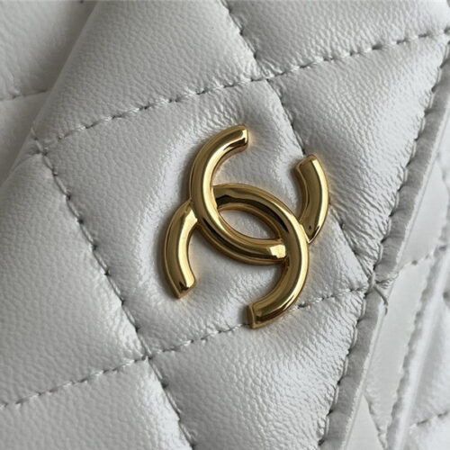 High Quality Luxury Chanel Cosmetic Bag – Style 47496 product detail